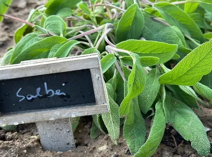 Tatil Evi Eifel 2.0 Bad Muenstereifel